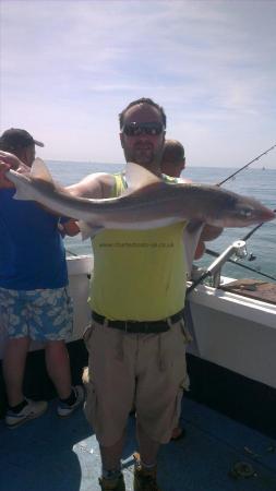 8 lb 4 oz Smooth-hound by john2
