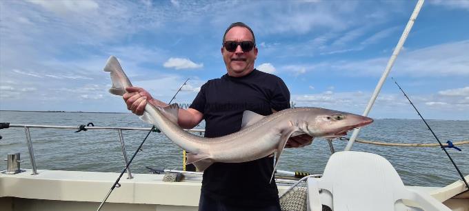 9 lb 2 oz Starry Smooth-hound by John