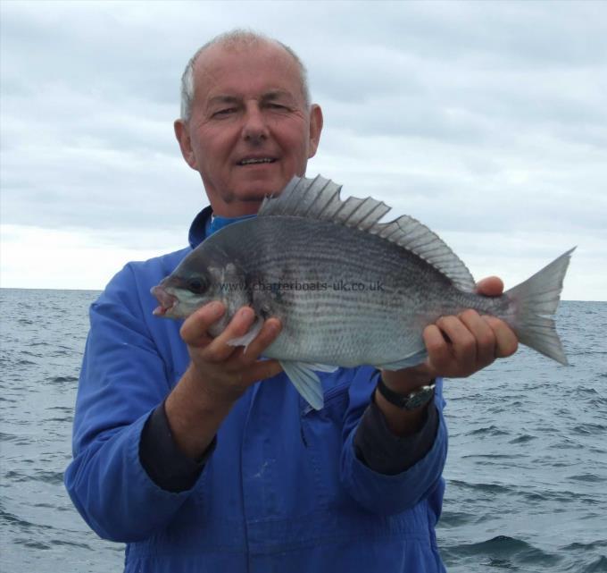 4 lb Black Sea Bream by David Metcalf