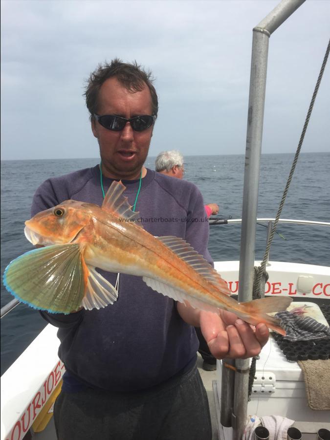 3 lb 6 oz Tub Gurnard by Unknown