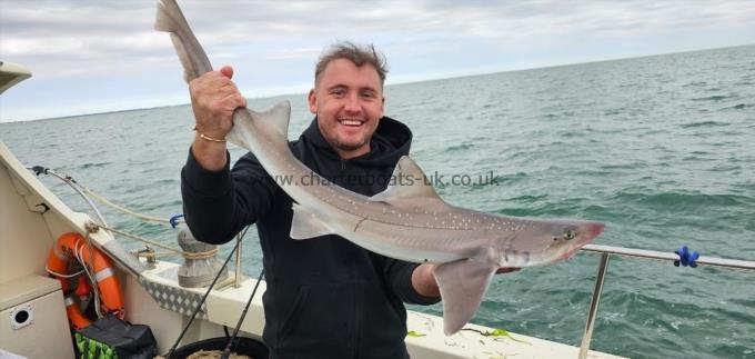 9 lb Starry Smooth-hound by Doug
