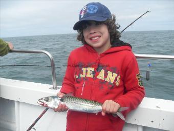 1 lb 8 oz Mackerel by Unknown