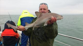 12 lb Smooth-hound by edgy