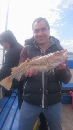 3 lb 2 oz Cod by Unknown