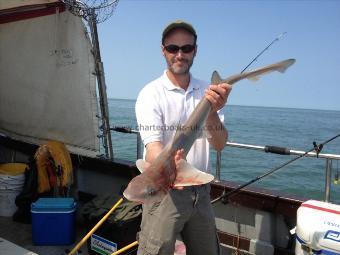 6 lb 13 oz Smooth-hound (Common) by Gorgeous Gary