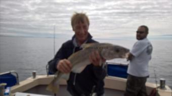 11 lb Cod by Stephen Wake