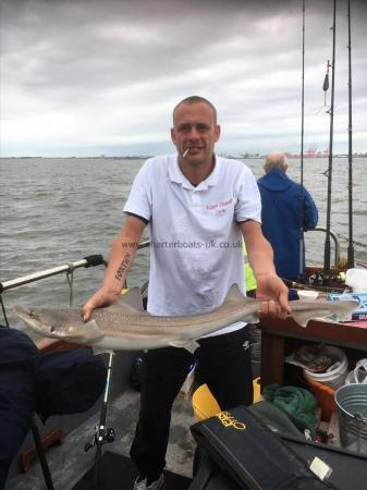 10 lb 3 oz Smooth-hound (Common) by Meeeeee
