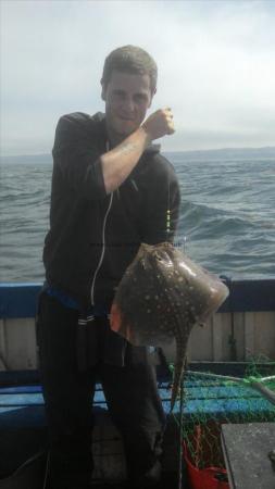4 lb 3 oz Thornback Ray by Unknown