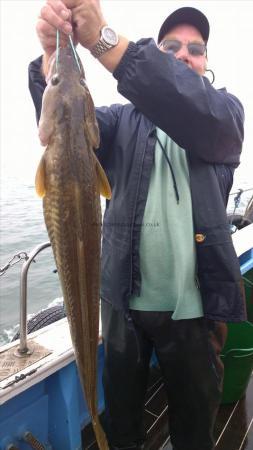 5 Kg Ling by bill