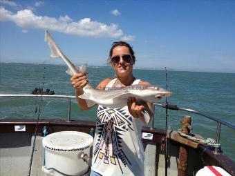 6 lb Smooth-hound by Jane C