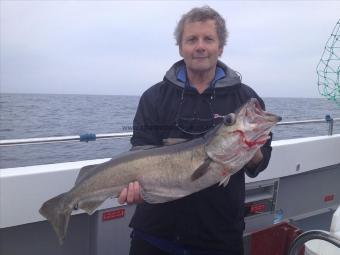 17 lb Pollock by Steve