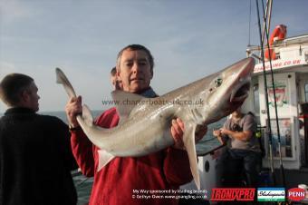16 lb Starry Smooth-hound by Duncan