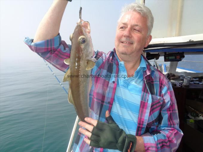 4 lb Pollock by reef pollack caught by dave
