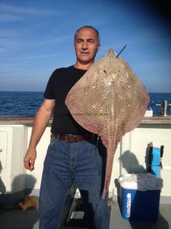 11 lb Blonde Ray by Kafir balim