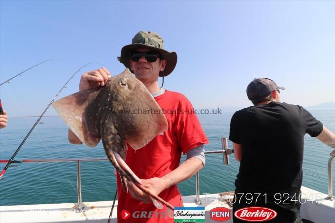 6 lb Thornback Ray by Ste