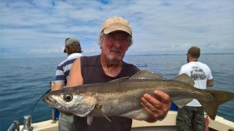 8 lb Pollock by Stephen Wake