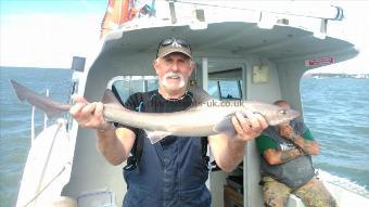 9 lb Starry Smooth-hound by dave marsh