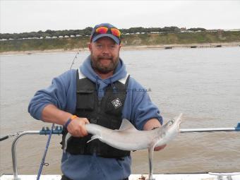 4 lb 5 oz Starry Smooth-hound by Jez Spencer