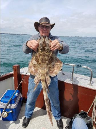 12 lb Undulate Ray by rick