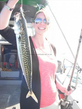 1 lb Mackerel by Judy Cooper