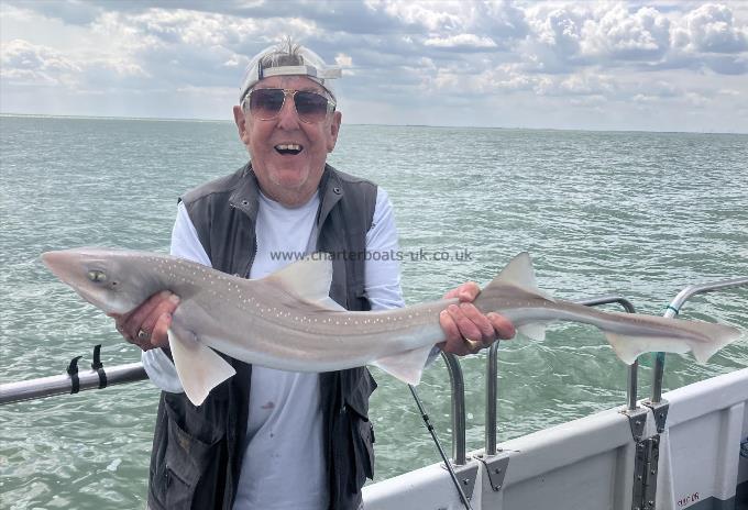 8 lb Starry Smooth-hound by Richie
