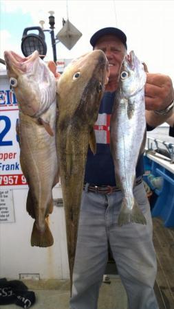 7 lb 11 oz Cod by erico from barnsley