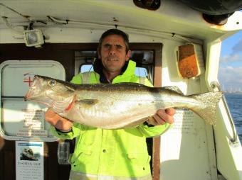 6 lb Pollock by Fen duke