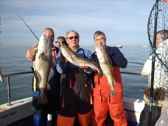 35 lb Cod by cod comp crew