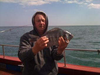 2 lb 8 oz Black Sea Bream by Polish 'Seb the Boss'