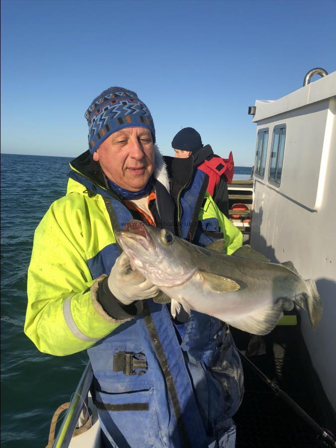 7 lb 8 oz Pollock by Unknown