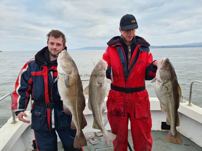 14 lb Cod by Unknown