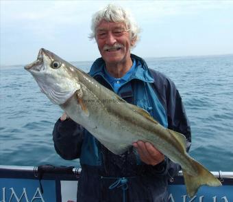 11 lb 6 oz Pollock by Lenny Skilton