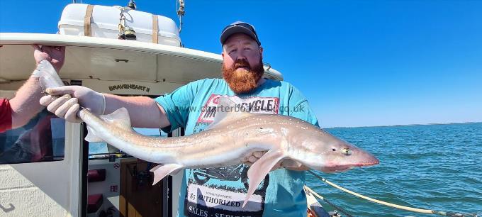 13 lb 8 oz Starry Smooth-hound by Wayne