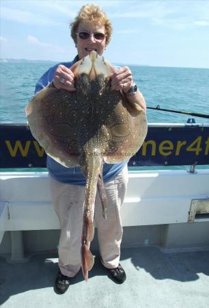 10 lb Undulate Ray by Denise Youngs