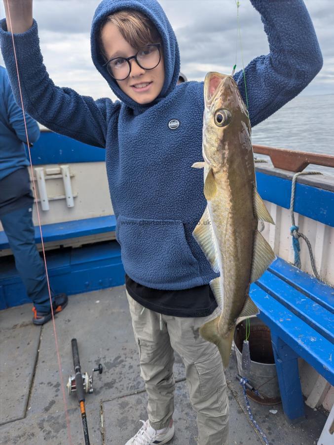 3 lb 2 oz Pollock by Unknown