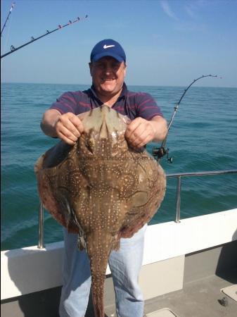 19 lb Undulate Ray by meat