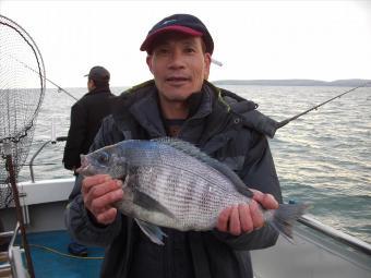 4 lb 4 oz Black Sea Bream by Ken Ho