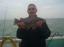 5 lb 8 oz Ballan Wrasse by Mick West