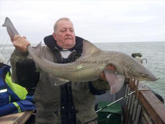 19 lb Starry Smooth-hound by Ray lusher