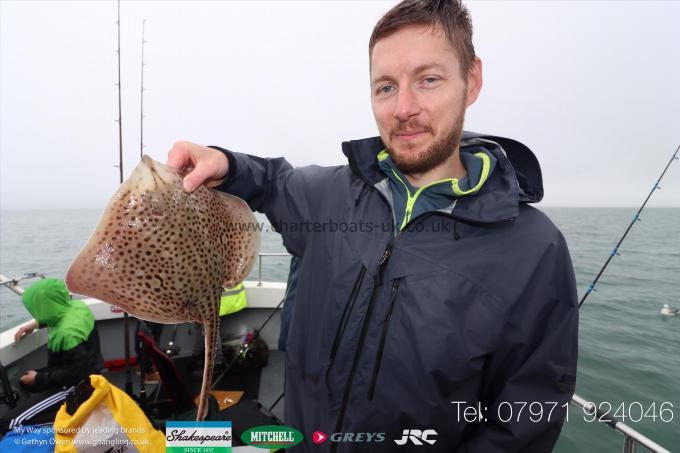 3 lb Spotted Ray by Matt