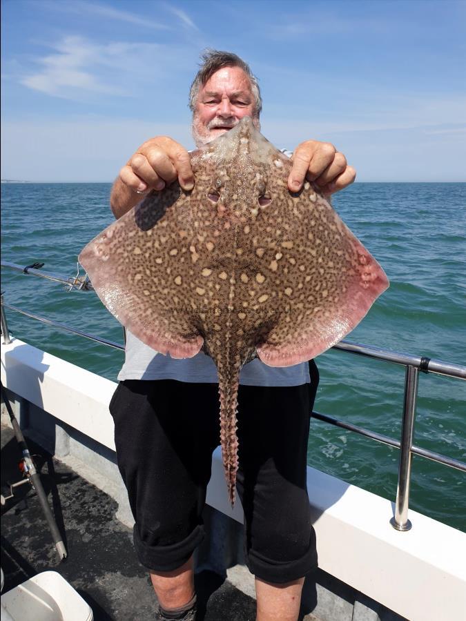 8 lb 8 oz Thornback Ray by Bob Marshall