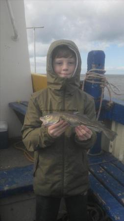 1 lb 6 oz Cod by Unknown