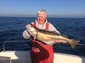 11 lb Pollock by Roy Shipway