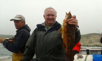 3 lb 5 oz Ballan Wrasse by Snowy