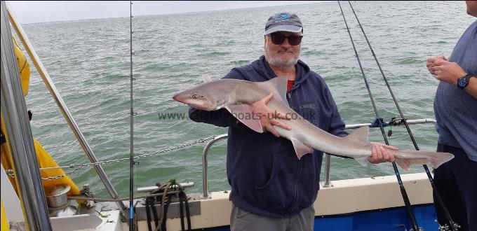 20 lb 8 oz Starry Smooth-hound by Unknown