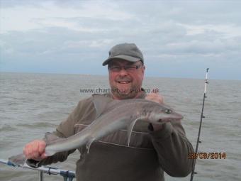 4 lb 5 oz Smooth-hound (Common) by Dave Mingay