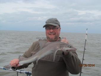 4 lb 5 oz Smooth-hound by Dave Mingay