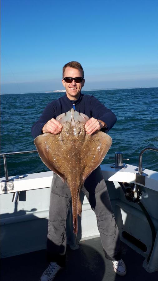 13 lb Undulate Ray by Unknown