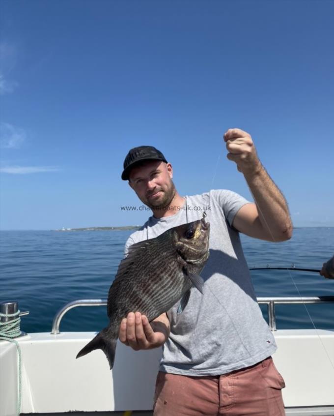 3 lb 4 oz Black Sea Bream by Unknown