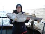 16 lb 6 oz Cod by Big Dennis.